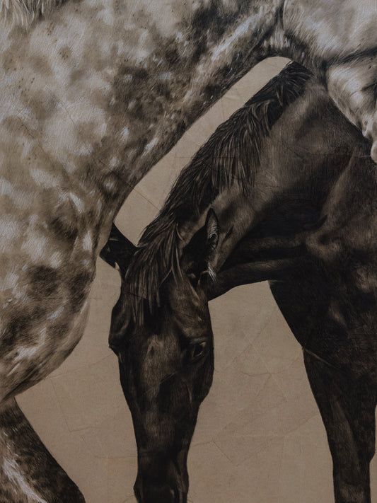 Complices silencieux | Impressions sur toile