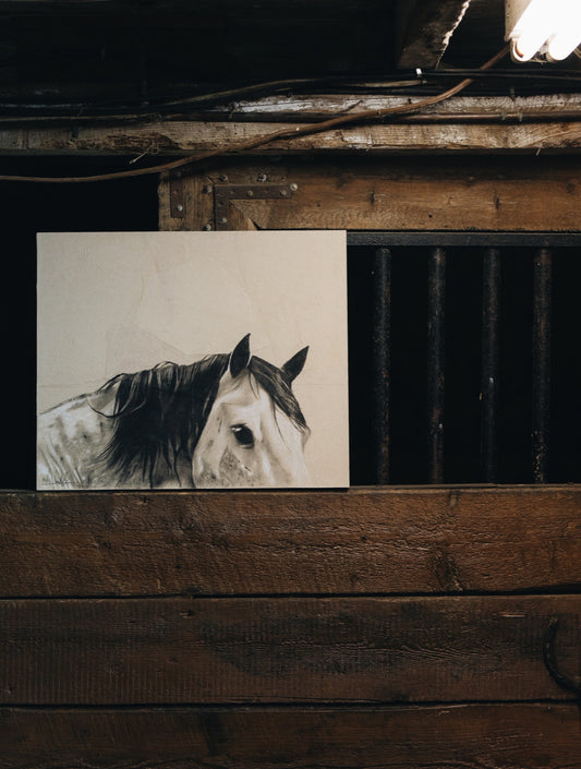 Liberté | Impressions sur toile
